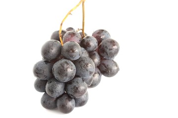grappolo di uva nera