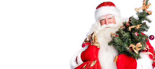 Christmas theme: Santa Claus holding christmas tree and his bag