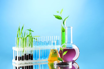 test tubes with plants on blue background