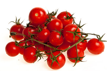 Tomatos