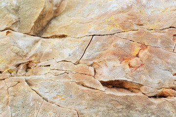 Rock texture background