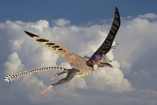 Peteinosaurus Takes to the Sky