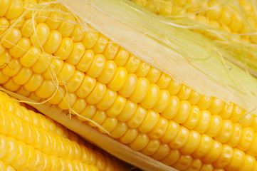 Fresh corn
