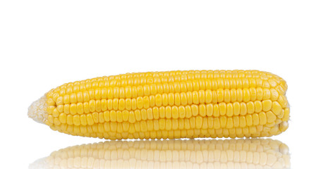 Fresh corn