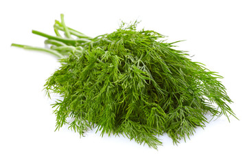 Dill over white background