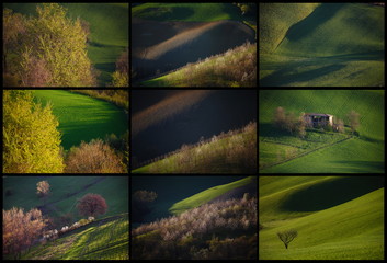 Italian hills, Springtime, composit