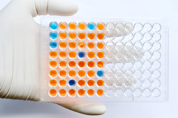 96 wells plate with solution