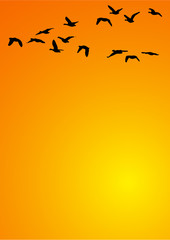 background_sunrise_birds