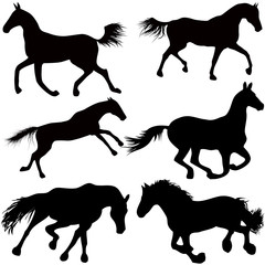 Set of a silhouette of a horse