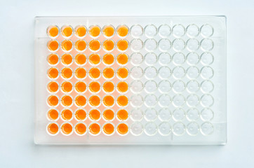 96 wells plate with orange solution