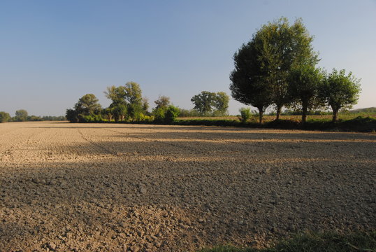 Campo arato