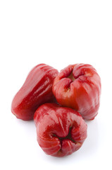 Rose Apple or Chomphu
