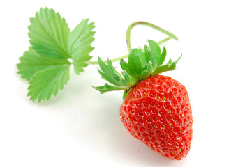 strawberry isolated on white background