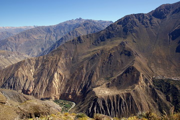 Colca canion
