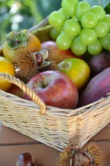 fruits in the basket