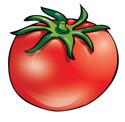 Tomato