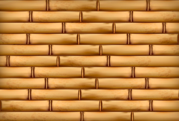 Bamboo background. Vector illustration.