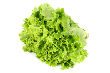 lechuga