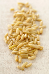 Pignons de pin