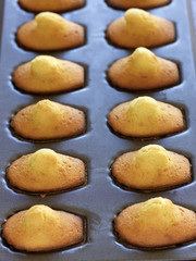 Madeleines dans un moule