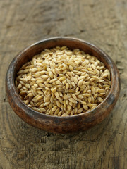 Grains d'épeautre