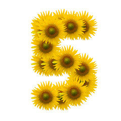 5,Sun flower alphabet isolated on white
