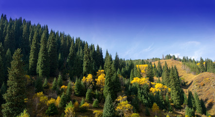 Mountains autumn panorama