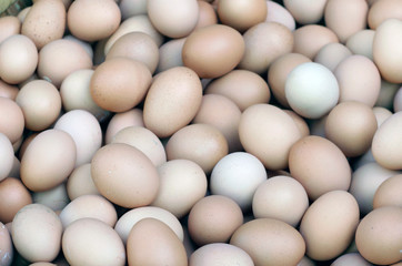eggs