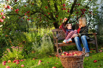 mother with her daughter beneath the apple tree