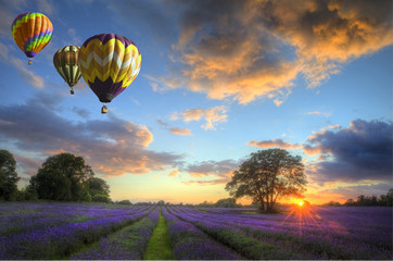 Hot air balloons flying over lavender landscape sunset