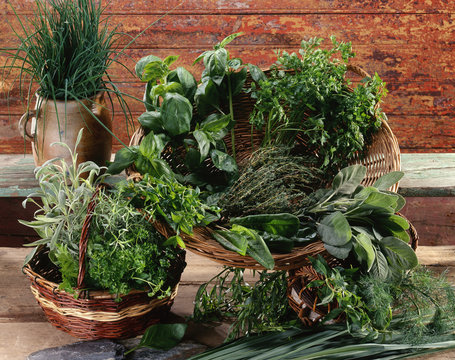 Composition d'herbes