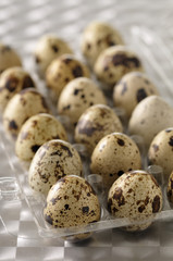 Oeufs de caille