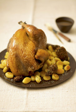 Chapon de pintade aux morilles et gnocchis saut&eacute;s