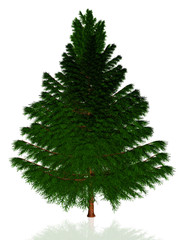 christmas tree isolated on white background