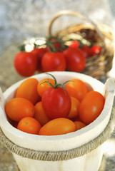 seau de tomates olivette