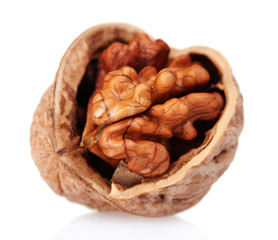 tasty walnuts isolated on white