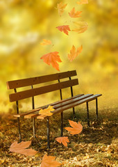 Naklejka premium Empty wooden bench in the city park