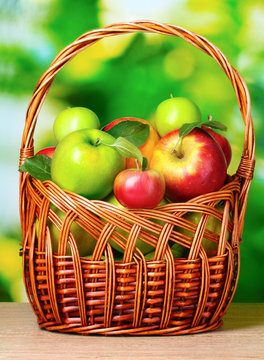 Healthy ripe apples in the bascet outdoors