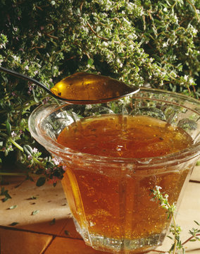 Gel&eacute;e de thym et pomme