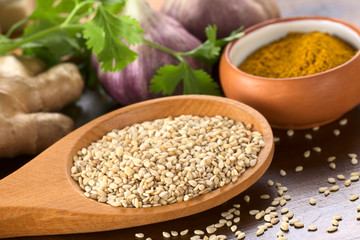Raw sesame seeds on wooden spoon