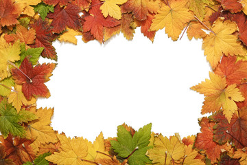 Naklejka na ściany i meble Frame of autumn leaves