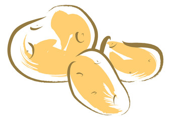 ジャガイモ　potato