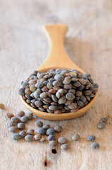 cuillère de lentilles