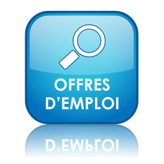 Bouton Web 