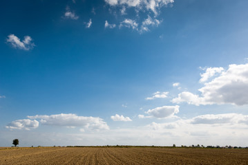 agricultural field