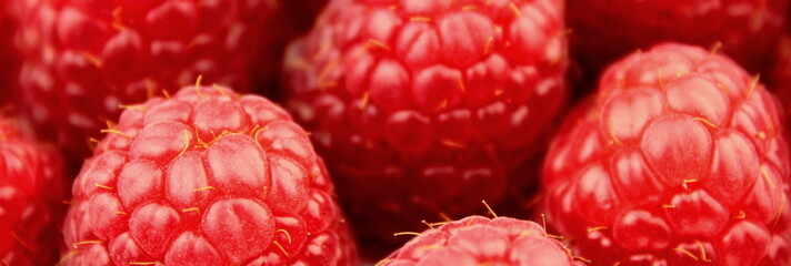 Raspberries background