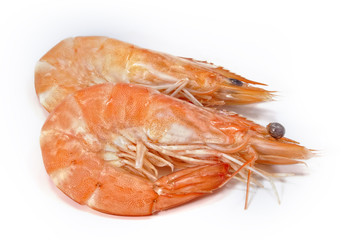 Langostinos sobre fondo blanco.
