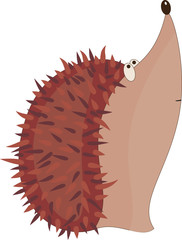 Funny hand drawn hedgehog