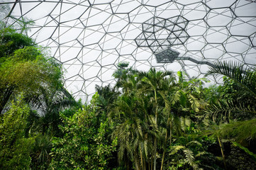 tropical rainforest vegetation inside a manmade bio-dome