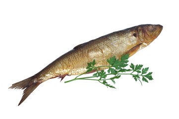 smoked bloater from parsley's top leaves